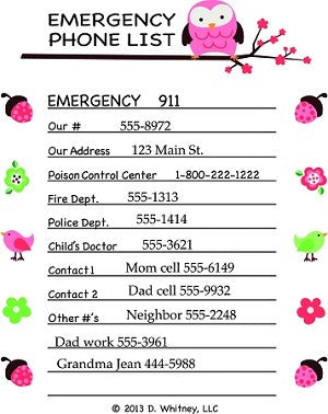 Emergency phone list removable wall decal 911 poison control number pink owls